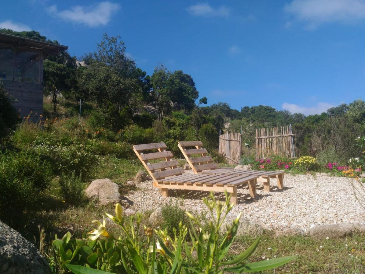 La Cera Farm Camping B&B ซานตา เตเรซา กัลลูรา ภายนอก รูปภาพ