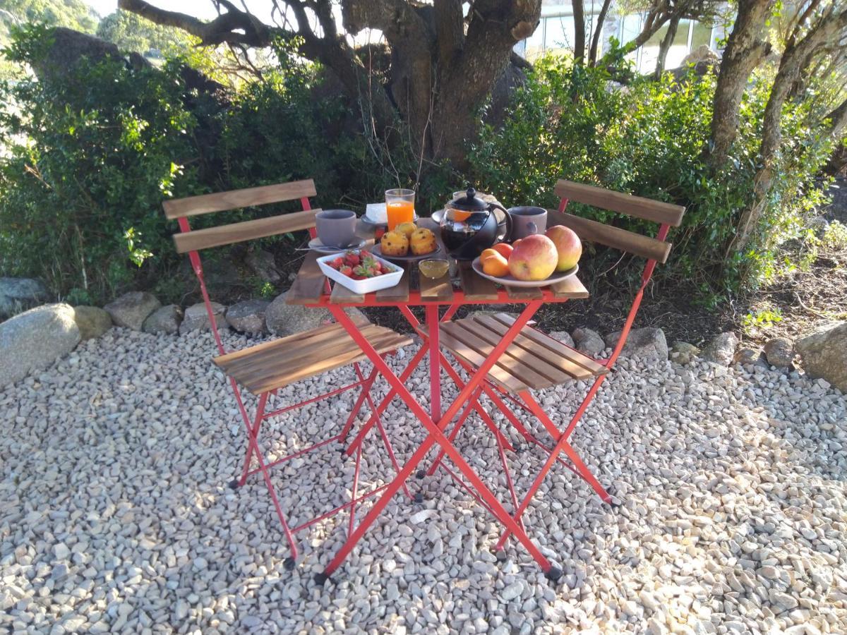 La Cera Farm Camping B&B ซานตา เตเรซา กัลลูรา ภายนอก รูปภาพ