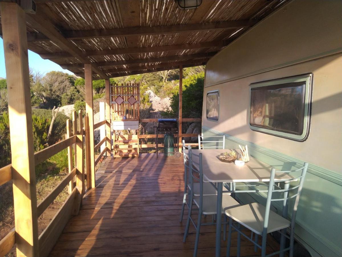 La Cera Farm Camping B&B ซานตา เตเรซา กัลลูรา ภายนอก รูปภาพ