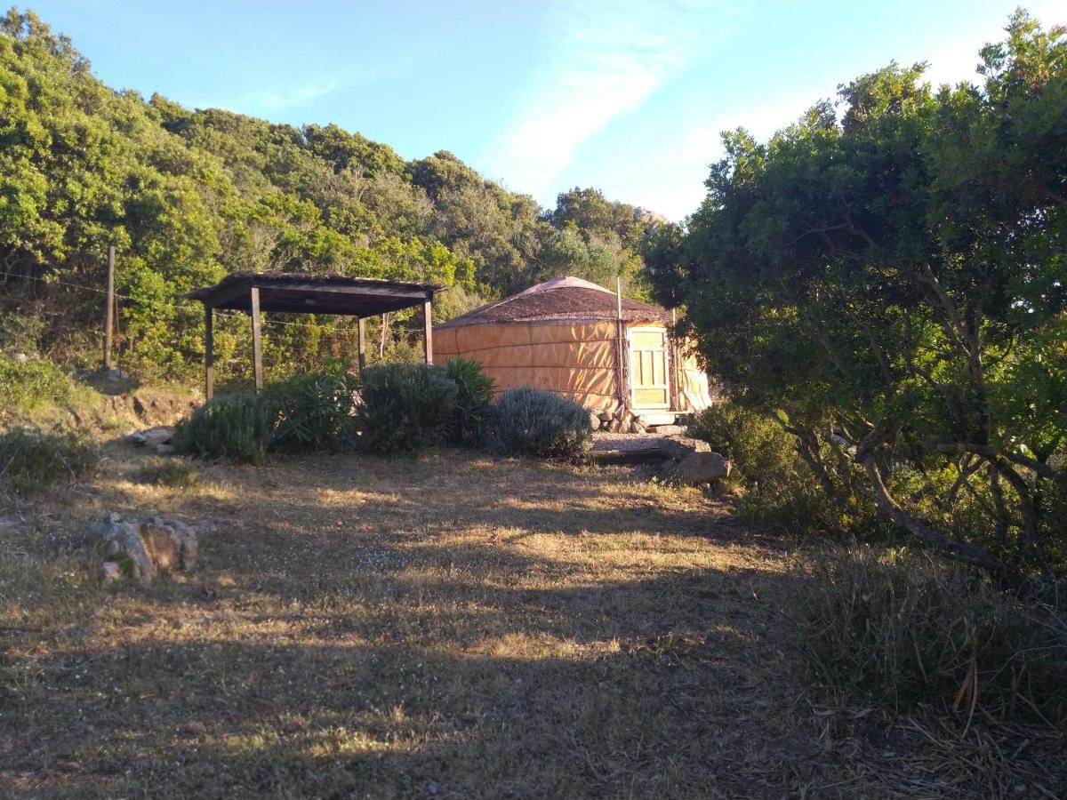 La Cera Farm Camping B&B ซานตา เตเรซา กัลลูรา ภายนอก รูปภาพ
