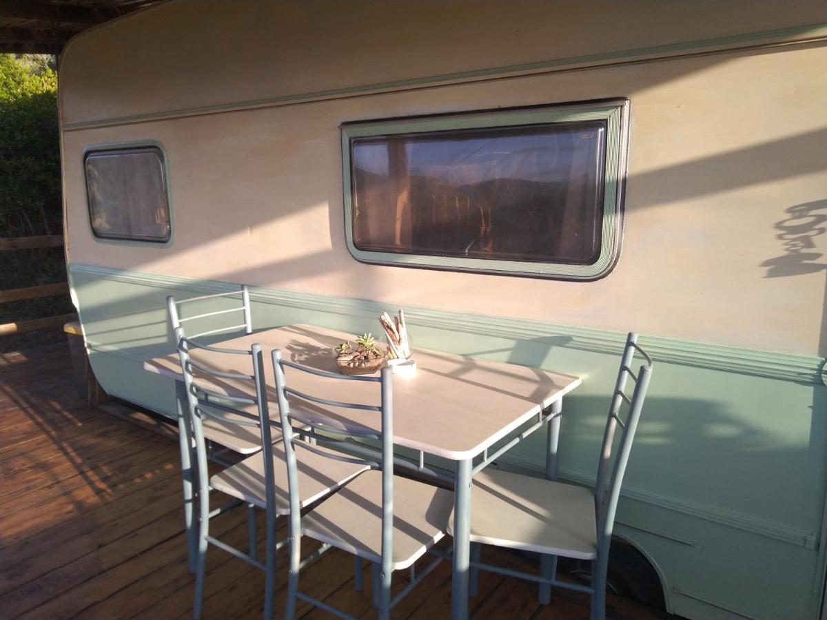 La Cera Farm Camping B&B ซานตา เตเรซา กัลลูรา ภายนอก รูปภาพ