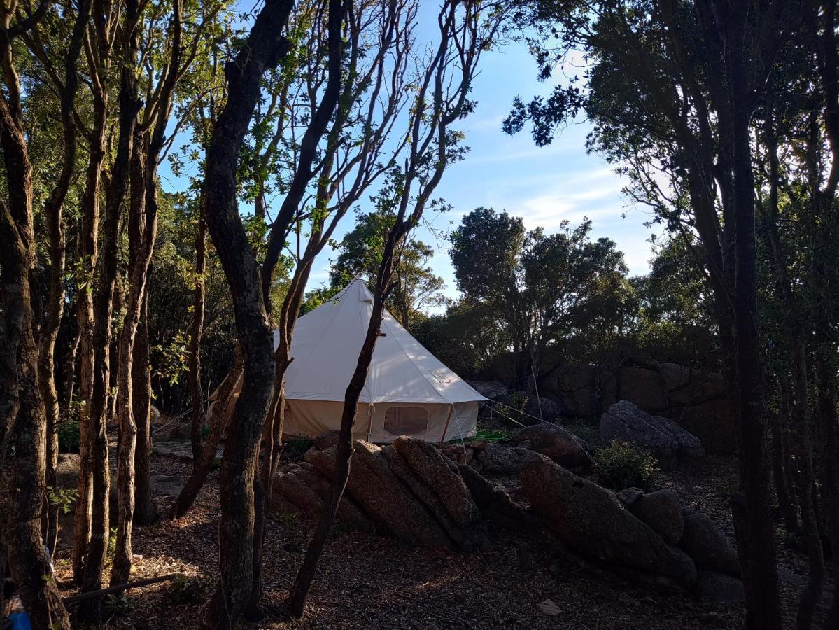 La Cera Farm Camping B&B ซานตา เตเรซา กัลลูรา ภายนอก รูปภาพ