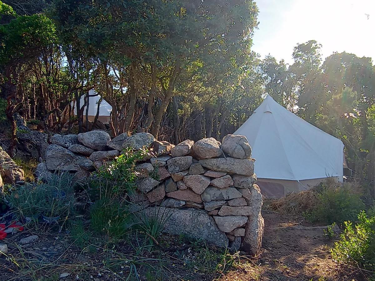 La Cera Farm Camping B&B ซานตา เตเรซา กัลลูรา ภายนอก รูปภาพ