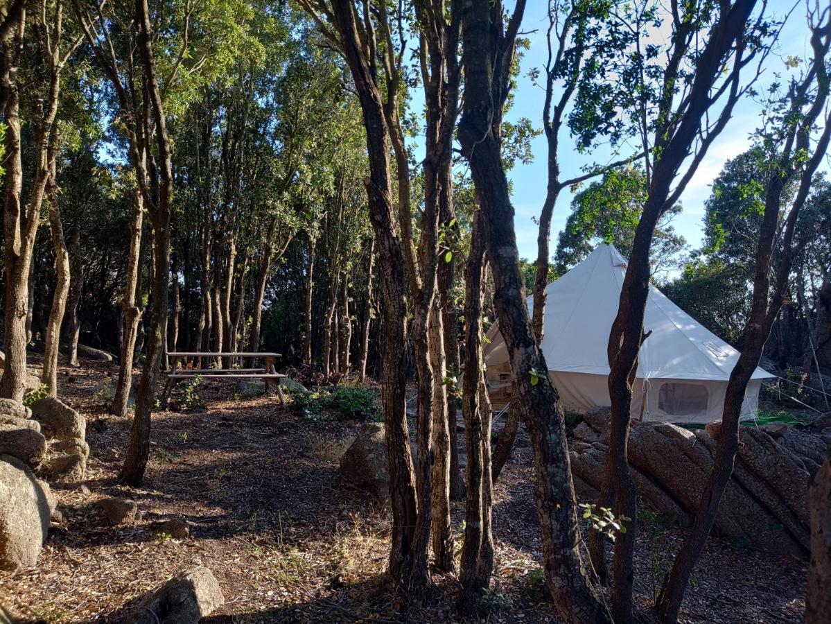 La Cera Farm Camping B&B ซานตา เตเรซา กัลลูรา ภายนอก รูปภาพ
