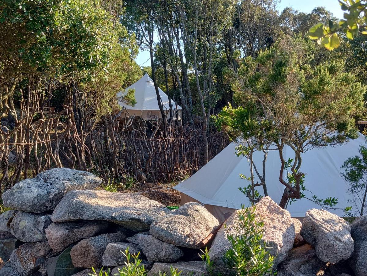 La Cera Farm Camping B&B ซานตา เตเรซา กัลลูรา ภายนอก รูปภาพ