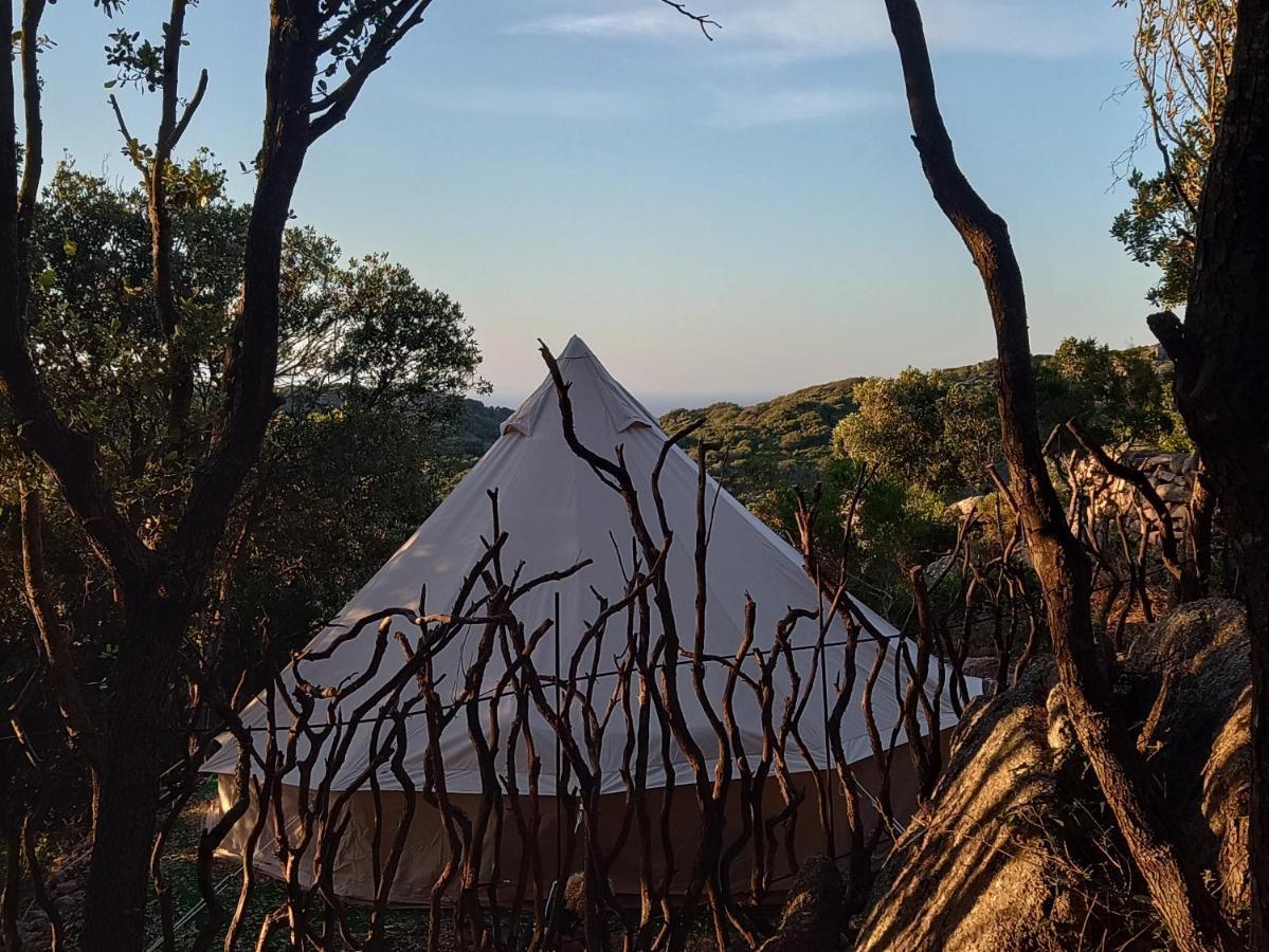 La Cera Farm Camping B&B ซานตา เตเรซา กัลลูรา ภายนอก รูปภาพ