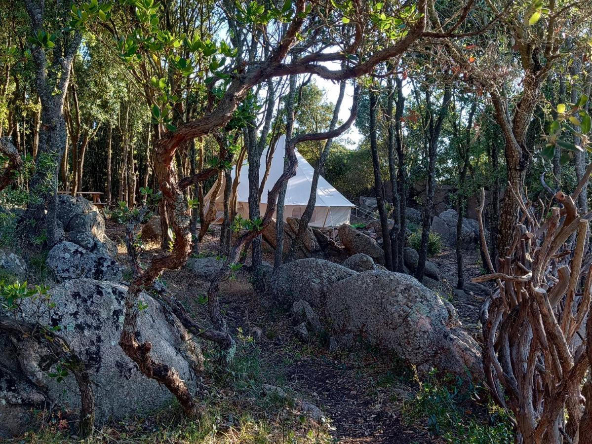 La Cera Farm Camping B&B ซานตา เตเรซา กัลลูรา ภายนอก รูปภาพ