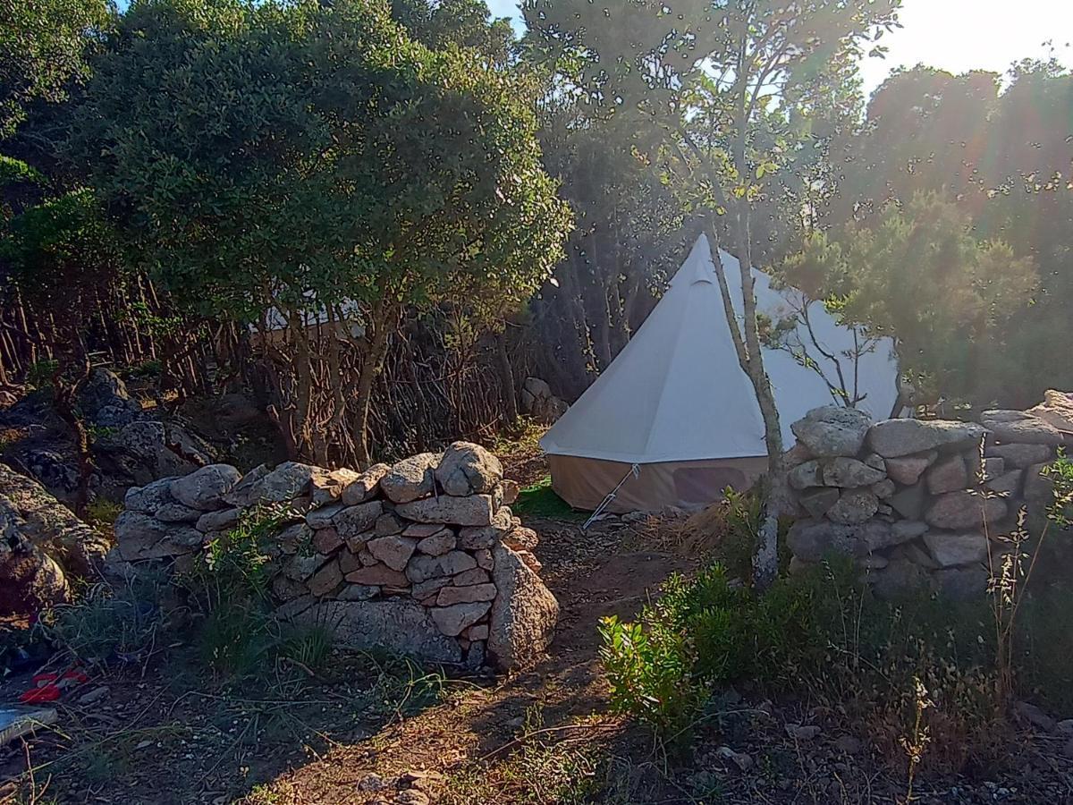 La Cera Farm Camping B&B ซานตา เตเรซา กัลลูรา ภายนอก รูปภาพ