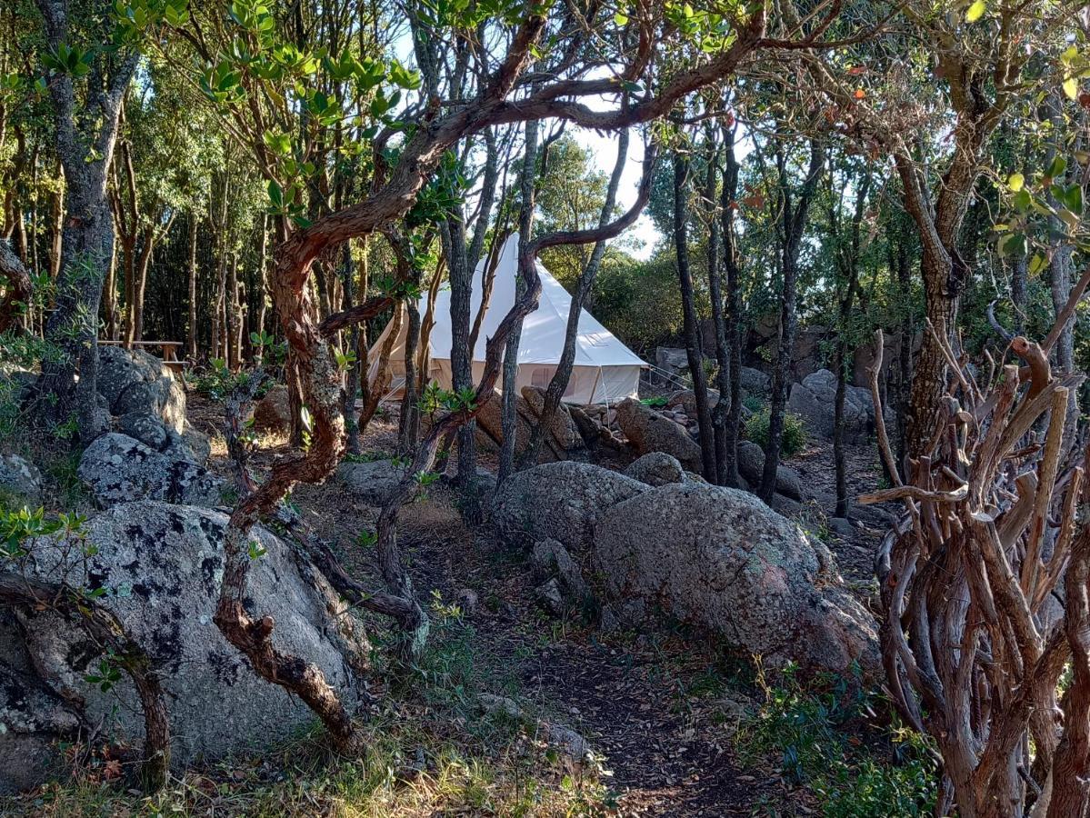 La Cera Farm Camping B&B ซานตา เตเรซา กัลลูรา ภายนอก รูปภาพ