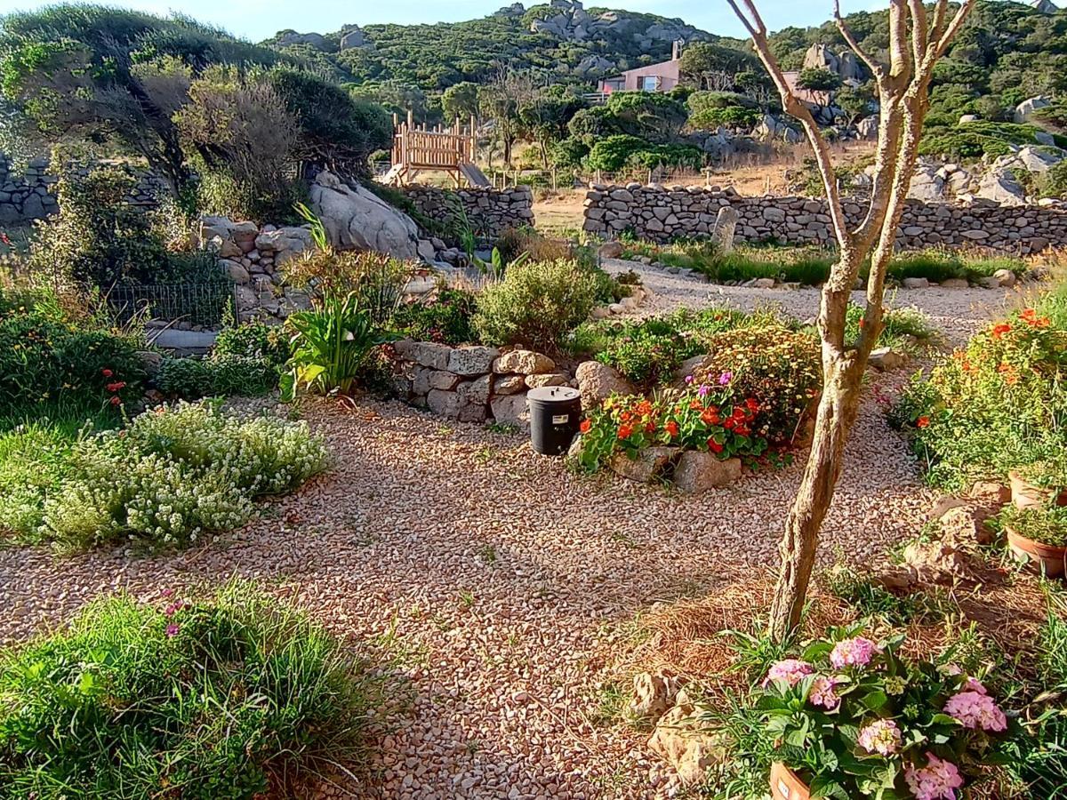 La Cera Farm Camping B&B ซานตา เตเรซา กัลลูรา ภายนอก รูปภาพ