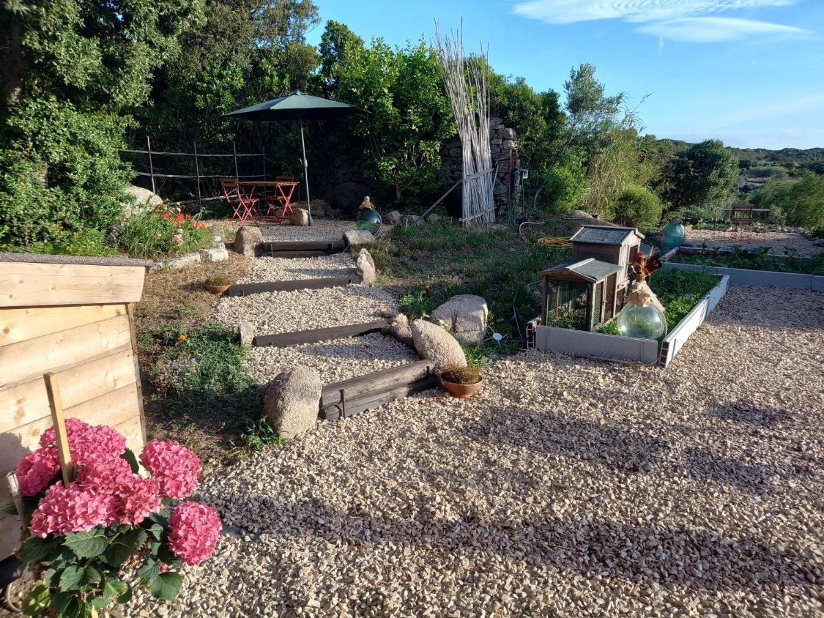 La Cera Farm Camping B&B ซานตา เตเรซา กัลลูรา ภายนอก รูปภาพ