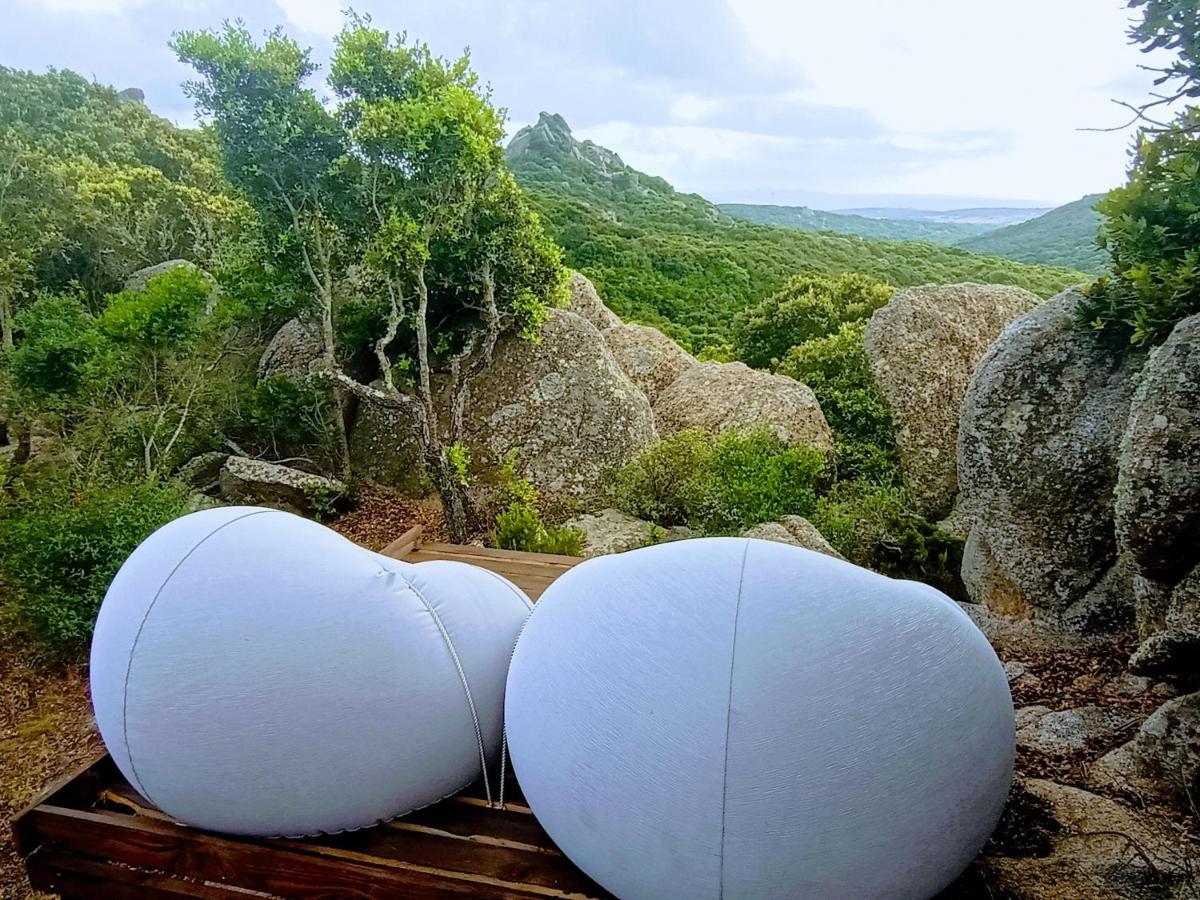 La Cera Farm Camping B&B ซานตา เตเรซา กัลลูรา ภายนอก รูปภาพ
