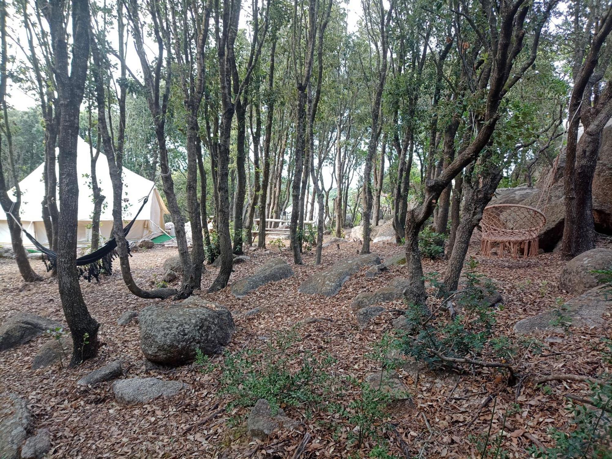 La Cera Farm Camping B&B ซานตา เตเรซา กัลลูรา ภายนอก รูปภาพ