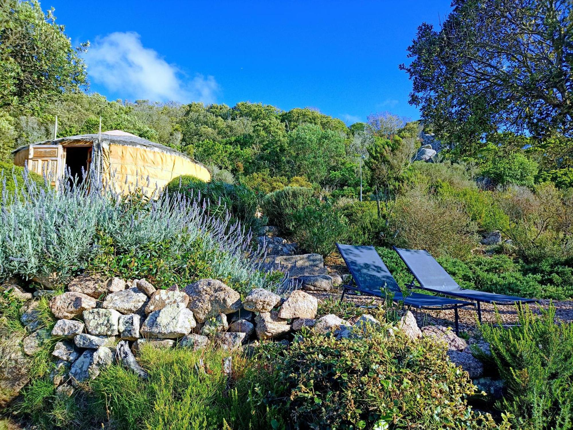 La Cera Farm Camping B&B ซานตา เตเรซา กัลลูรา ภายนอก รูปภาพ