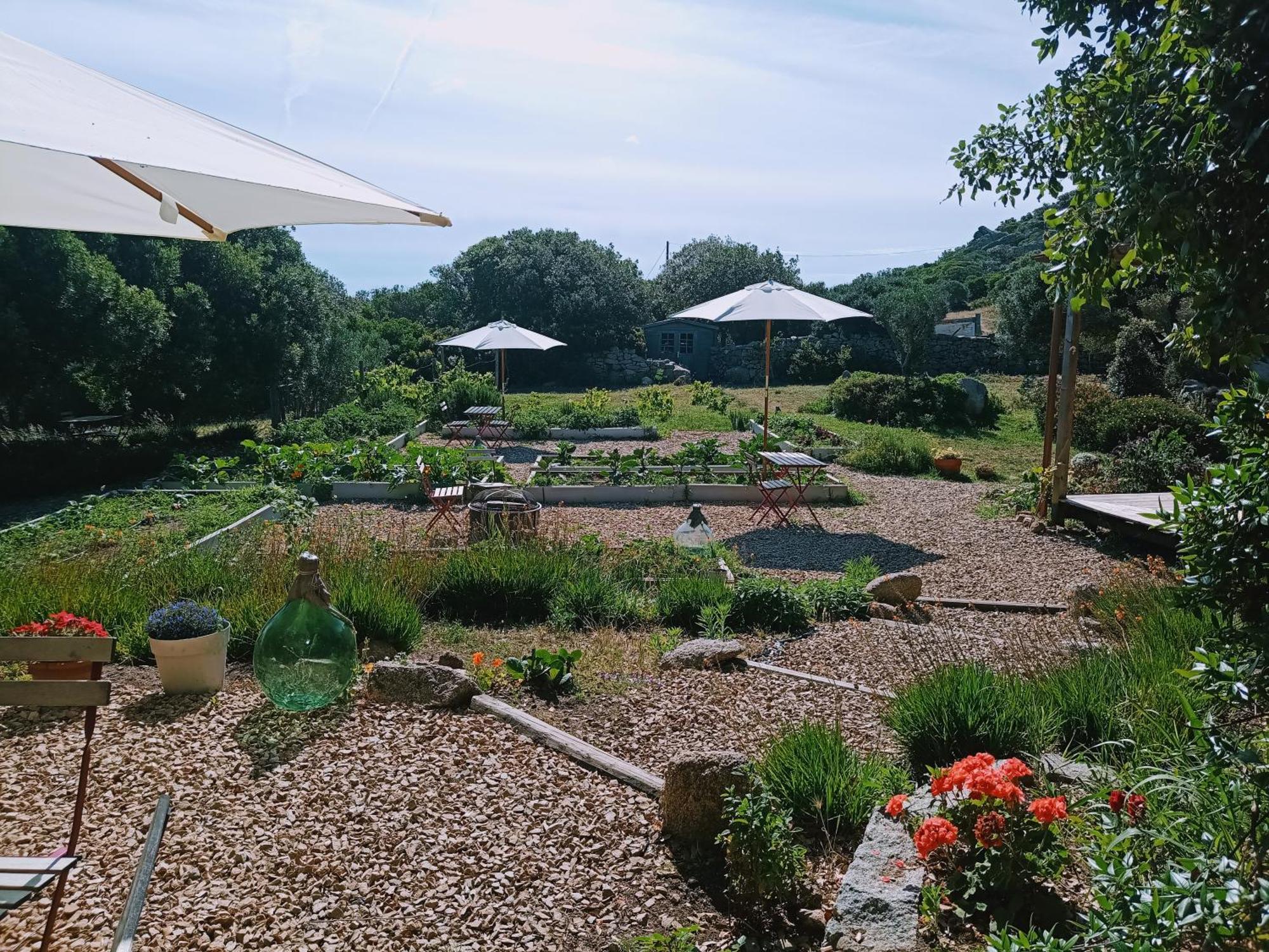 La Cera Farm Camping B&B ซานตา เตเรซา กัลลูรา ภายนอก รูปภาพ