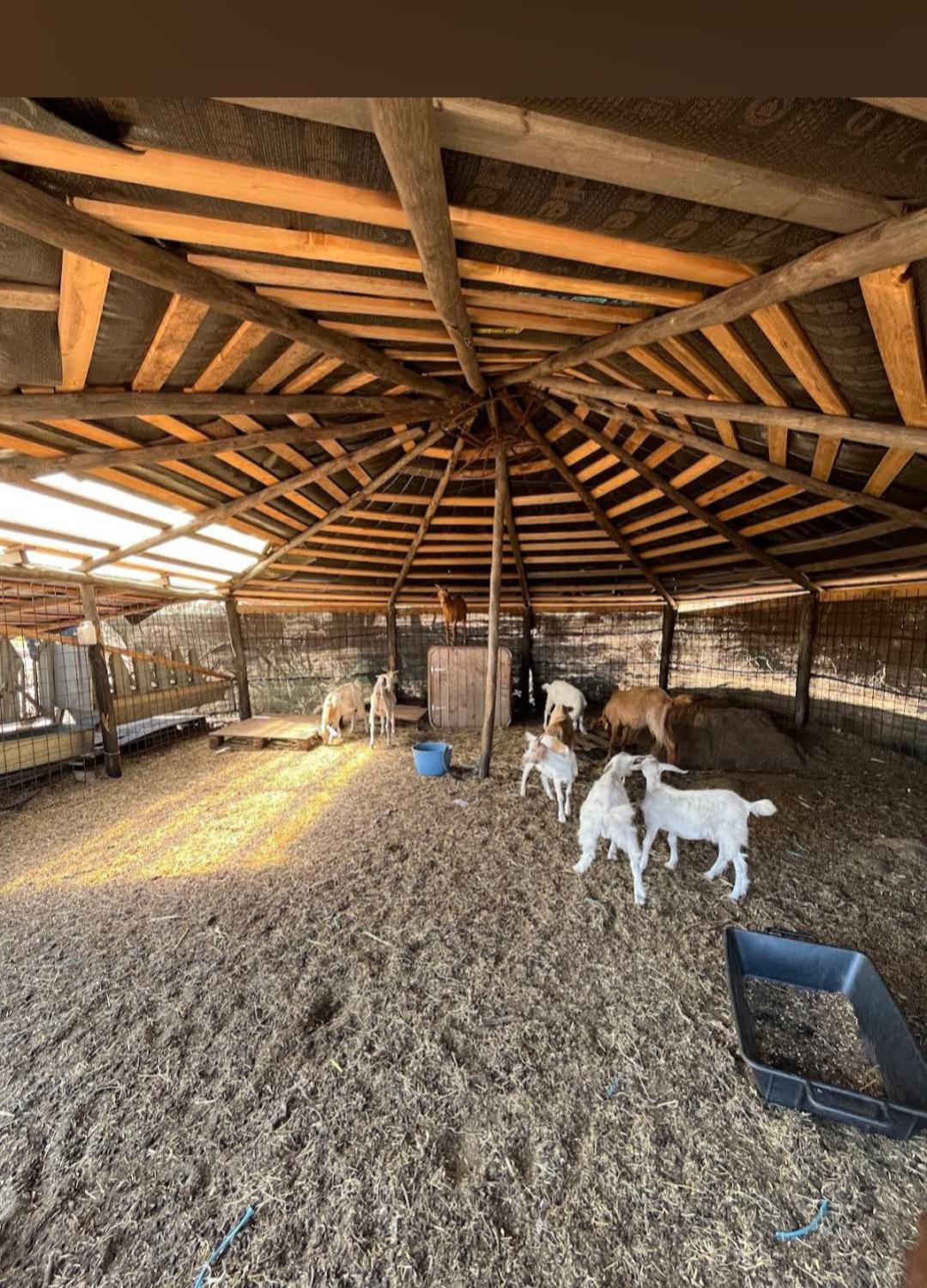 La Cera Farm Camping B&B ซานตา เตเรซา กัลลูรา ภายนอก รูปภาพ