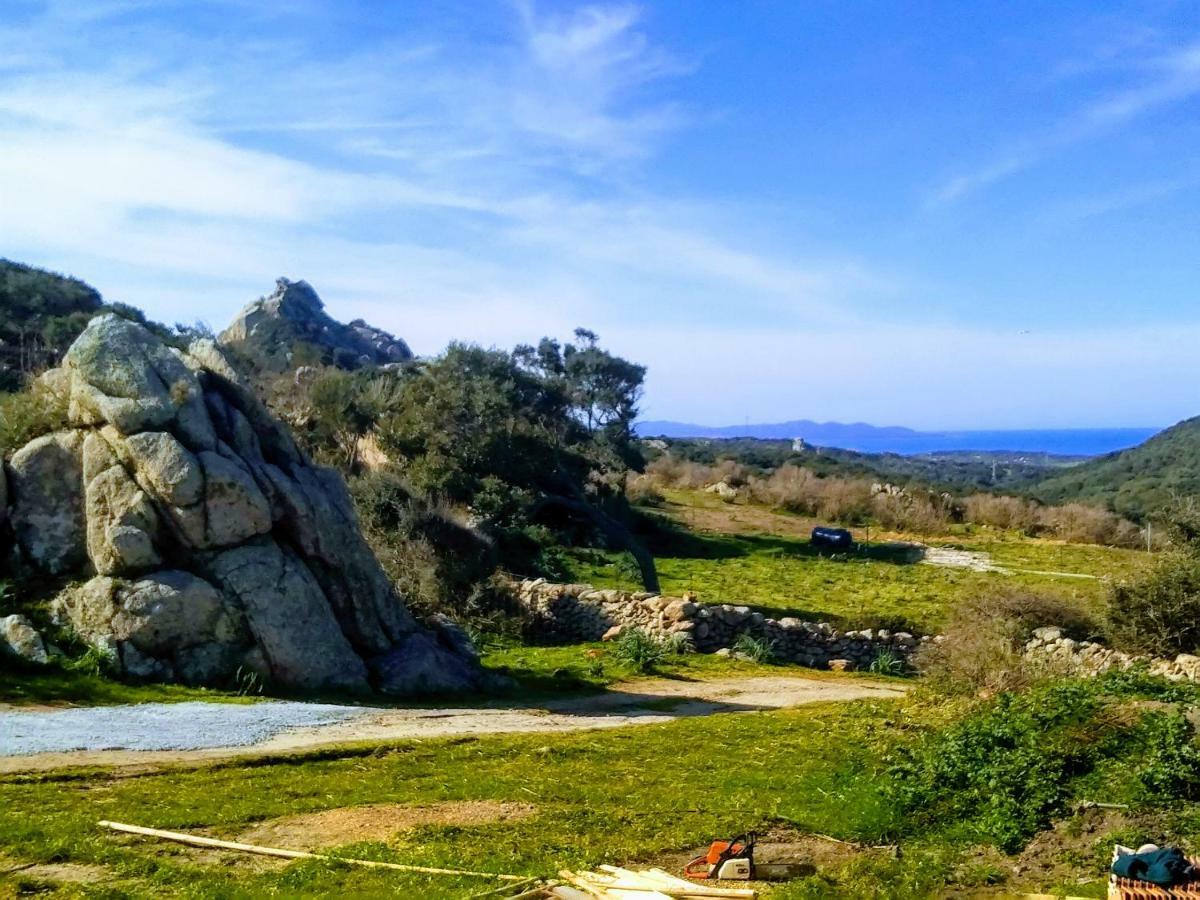 La Cera Farm Camping B&B ซานตา เตเรซา กัลลูรา ภายนอก รูปภาพ